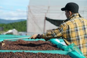 Farm Jobs Harvest Seasons & Rural Employment
