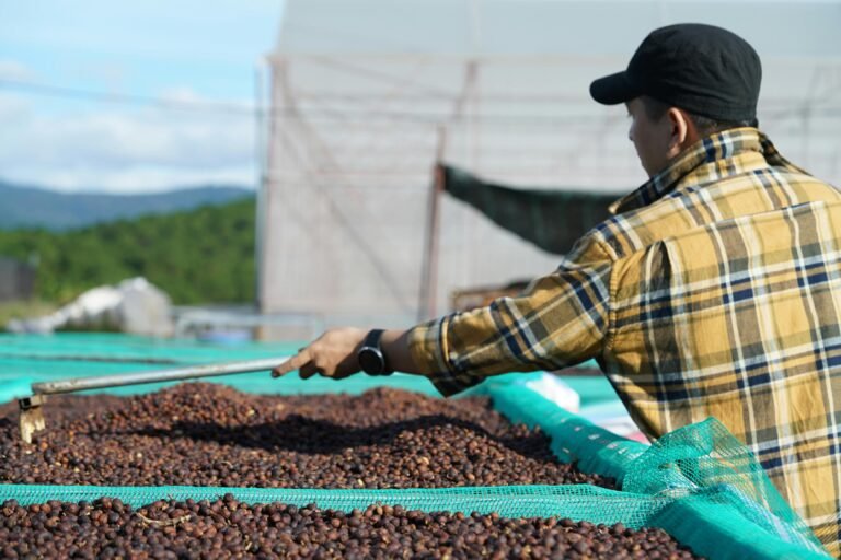 Farm Jobs Harvest Seasons & Rural Employment